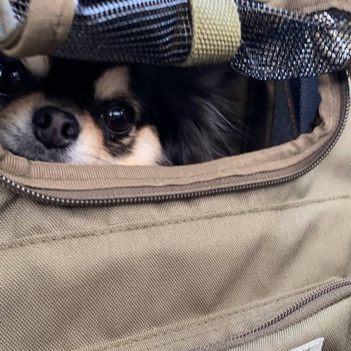 Da78a6c7 4adb 4eb3 a847 b45fb1224db9 1617942213632