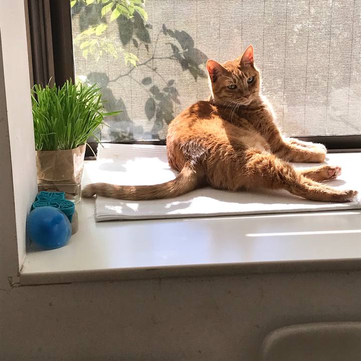 Da78cc0c 9517 4984 813d badc98c105a4 1603588265450