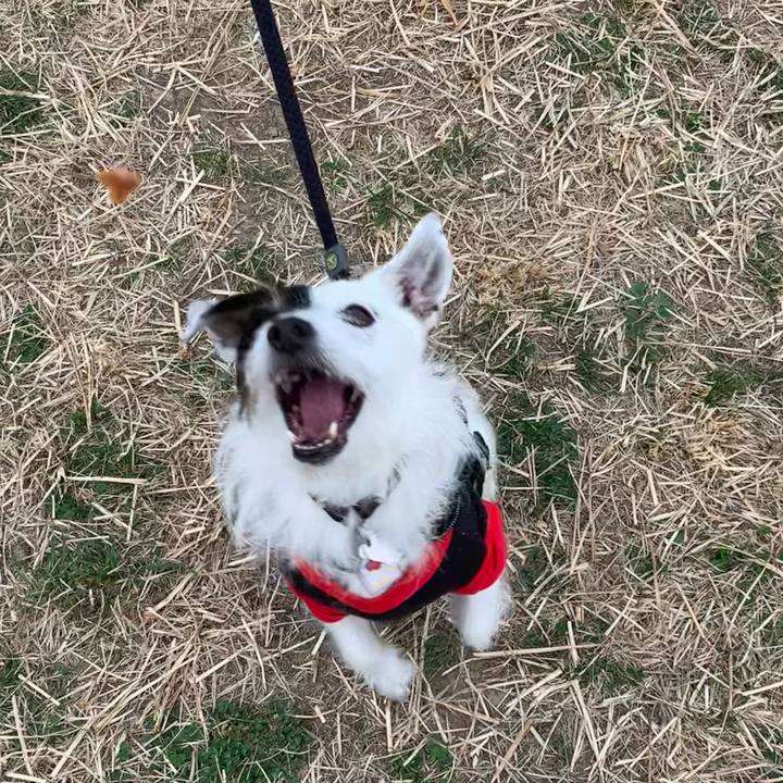 Da78d146 ef8b 47bf bf0f 121f4cbb980f 1678608198319