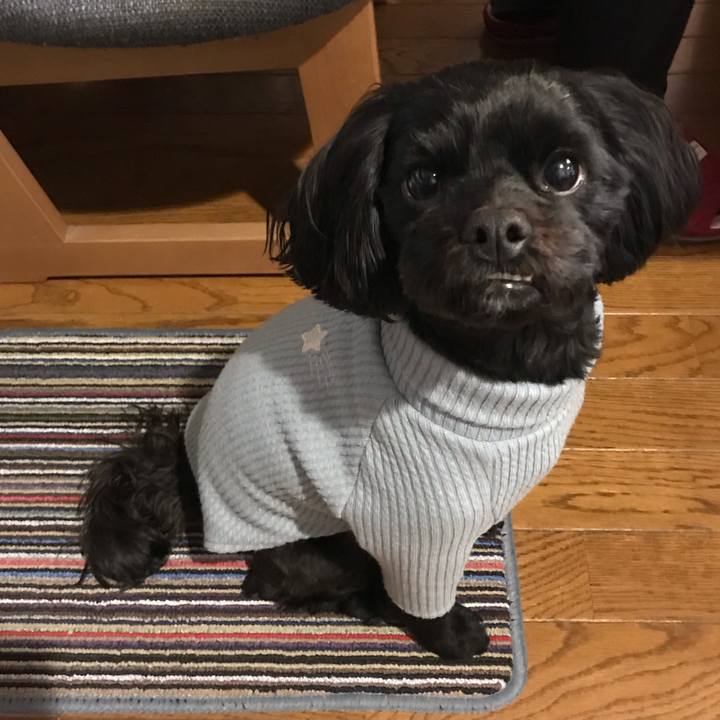 Da78ef94 d4ae 48eb 9935 d4b4bd0f3f00 1554940428508