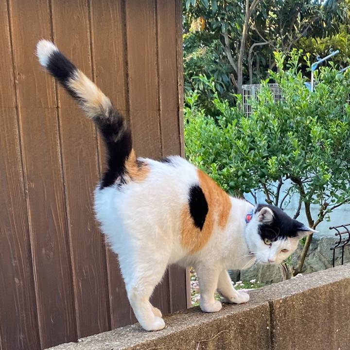 Da790d0a 50e8 4b6d b2dd 8488d3c36427 1636110625661