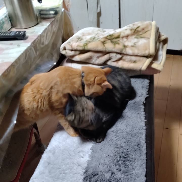 Da792571 1269 4710 90bf 5937aa165847 1666392090005