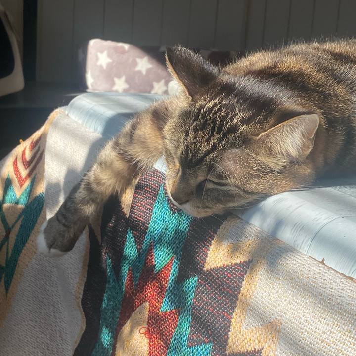 Da792d7b d734 4667 a0de de236ad8addf 1736558778503