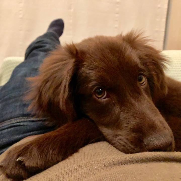 Da793c13 06e1 4fd4 b4da a694cc7f07c0 1553550922967