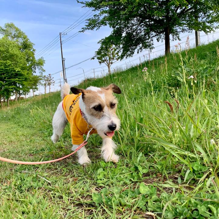 Da79afa7 4717 47d0 9e25 cd166e9237c7 1619607459219