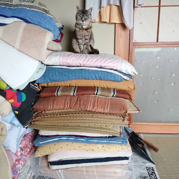 Da79c01a d025 4ed8 9cbd e1aa7efb08e9 1569877891107