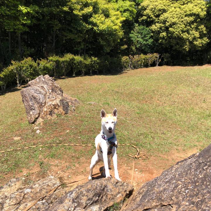 Da79d0b2 972d 4ba5 91df 54215df0c429 1589671662513