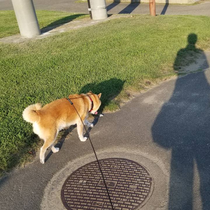 Da79f4de a680 4e80 b80d 9a0e653381df 1725610195374