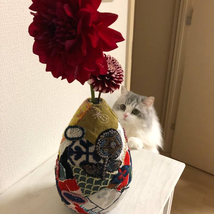 Da7a571f 9598 47ae a280 68476e46d81c 1571063616066