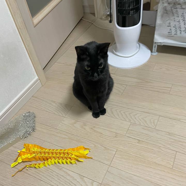 Da7a7ed9 1710 4b1e 8e9d 3639b778dd6e 1722949928767