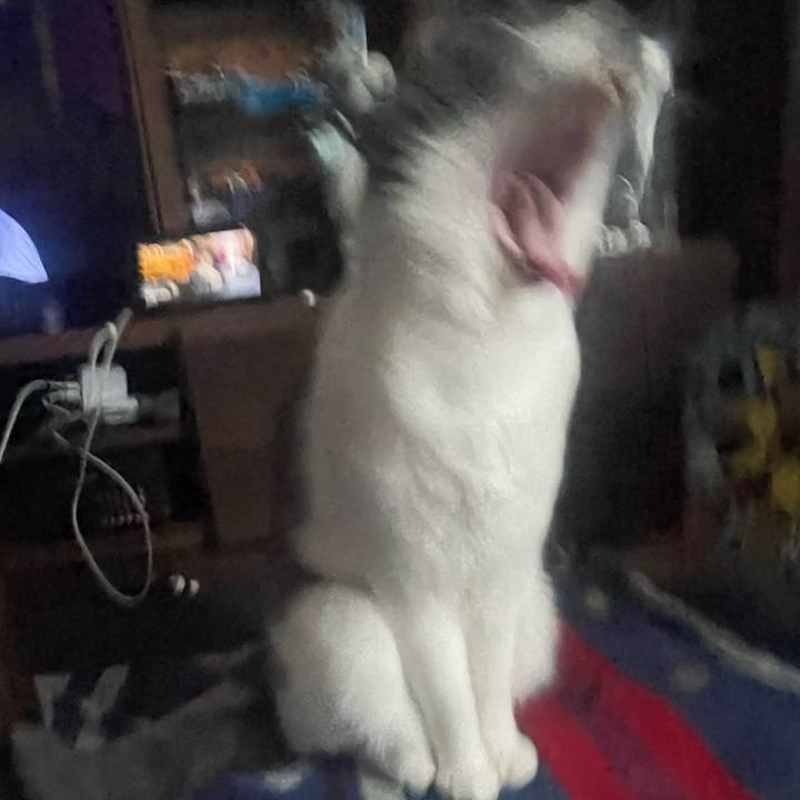 Da7a8217 acc8 47d6 b1b6 dea5a958f22e 1681375194976