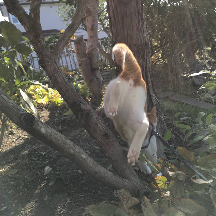 Da7b2dba 6f71 4cfc 9eb3 56f8ca959468 1509339597978