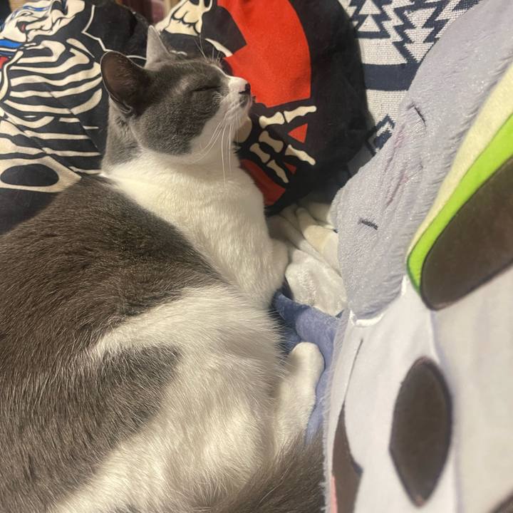 Da7b5396 f982 46d8 a973 40be1e78099a 1681568413989