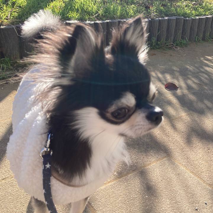 Da7b55b4 e6f5 4b37 8ae0 70c935032386 1639892269571