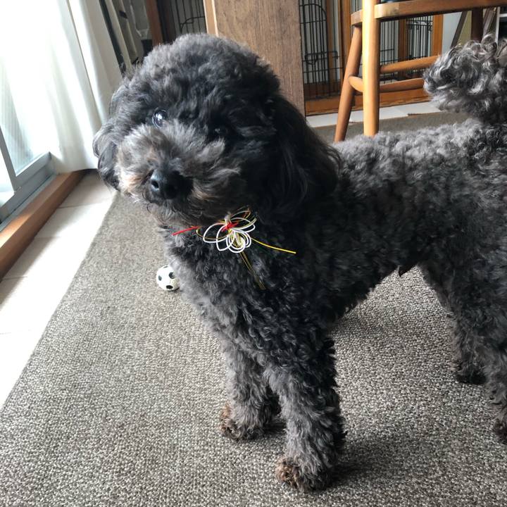 Da7b55c1 f859 4e29 89bc fcd221032de2 1578974099123