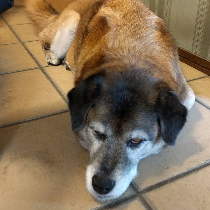 Da7b67b5 d788 467e 873a 12b6bd5e89e9 1556328030441