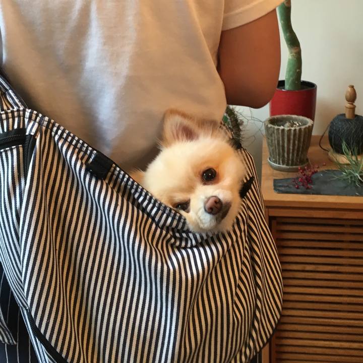 Da7baa82 eb89 4e89 aa81 ffc63566ce62 1528598135413