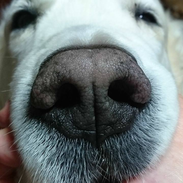 Da7bb028 0879 4527 9d79 324d17c247bf 1523445571043