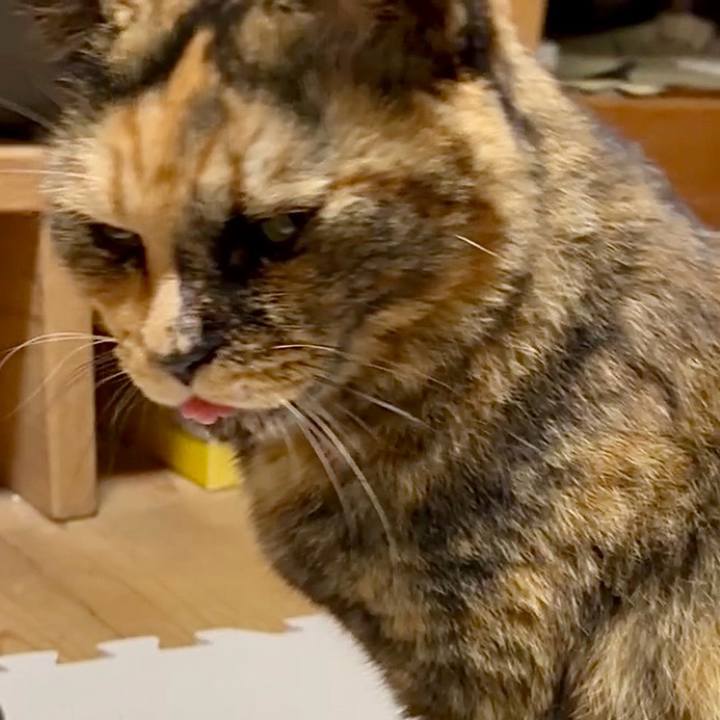 Da7bd0e9 b24c 4012 a2b6 068907ace153 1761134663066