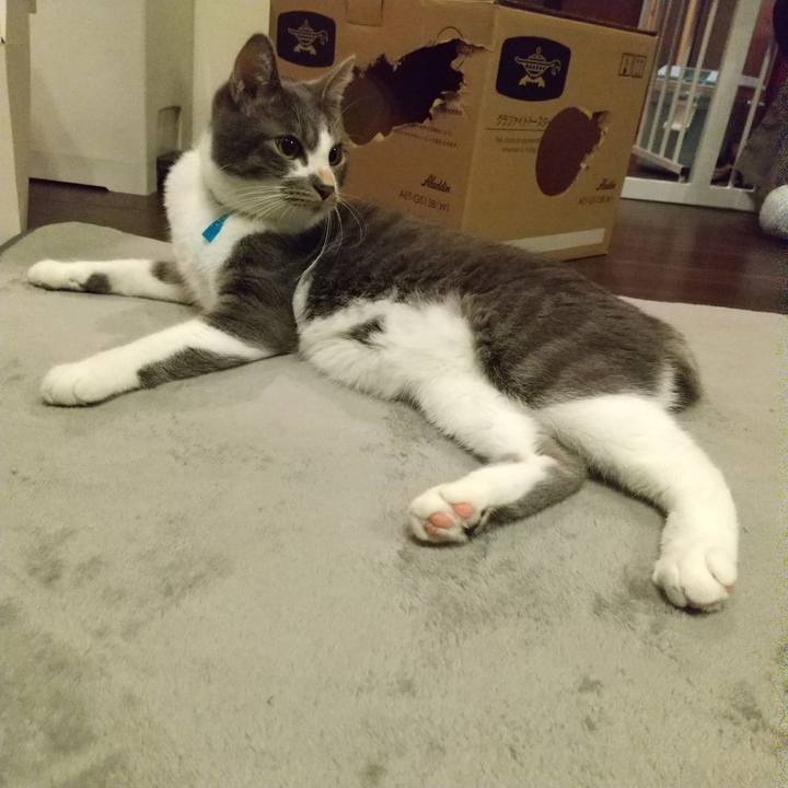 Da7bd134 0cd4 4f2f 9861 179918ab9b08 1603118407894