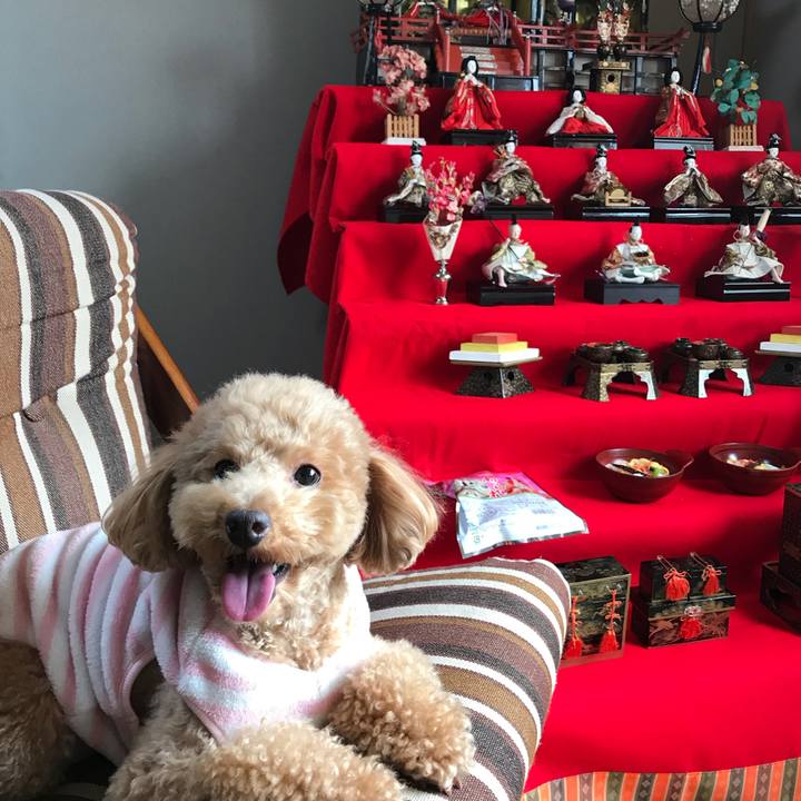 Da7bd13b c02b 40f9 a9f0 5d5a3d9f2e15 1520054849179