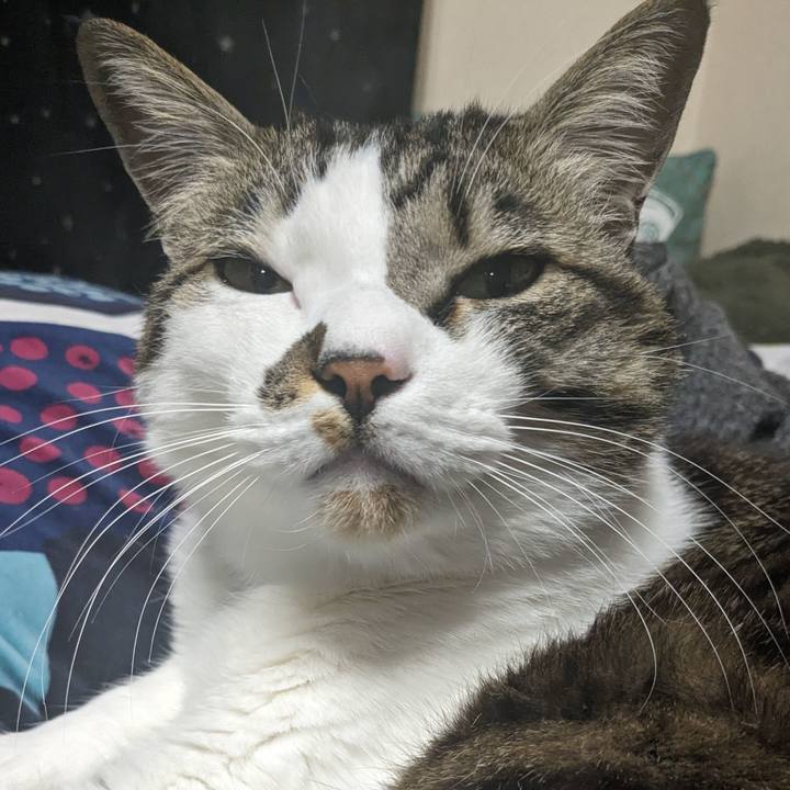 Da7beafe f473 4afe 9834 b0203d422c6b 1710423348659