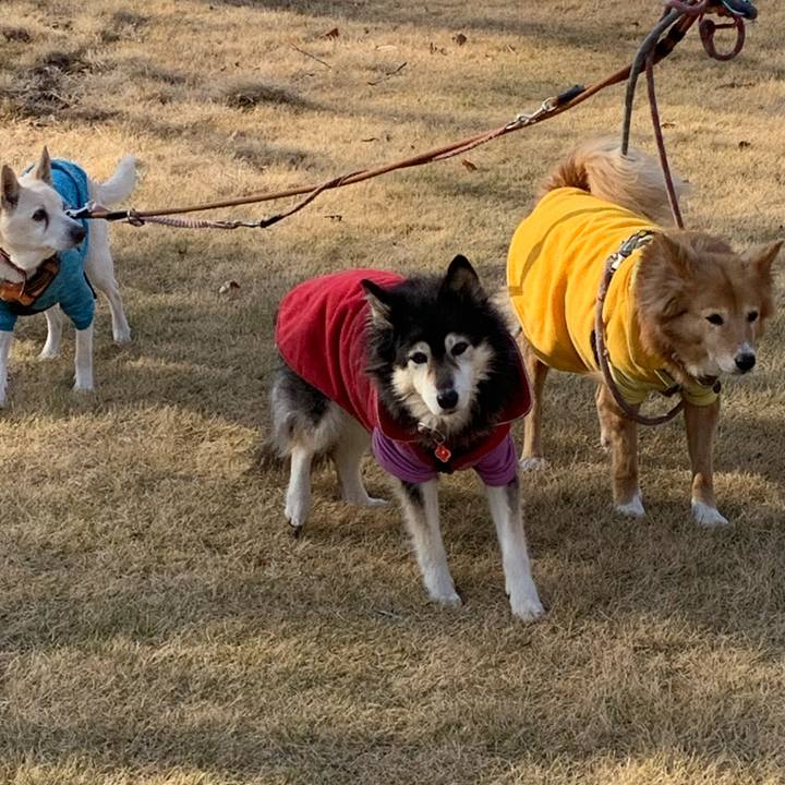 Da7bf682 6508 47ea a26f 04654f004c22 1705330214852