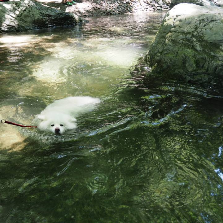 Da7c0fe3 cb7b 4e46 bd78 32e718f008fe 1531570496144