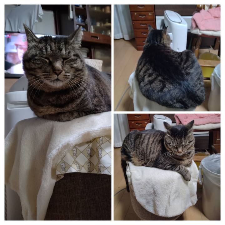 Da7c155e 32c8 4348 ac40 bcb7ed6c9e7c 1712404713768