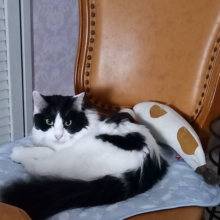 Da7c2d8a eaf3 41e1 b16e 7b9285402f14 1627216841452