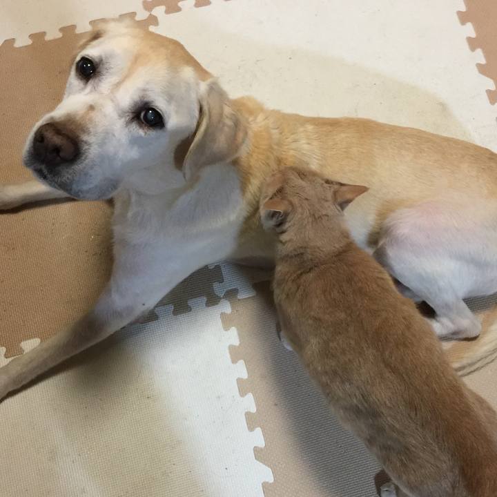 Da7c52f4 70f6 4162 8357 985d38b8510a 1507677329146