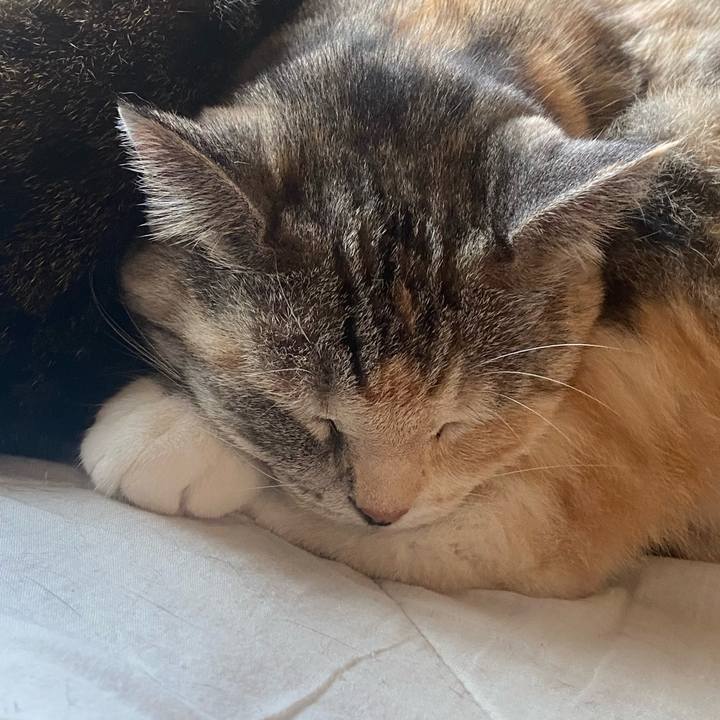 Da7c58fc 01cb 4df1 b412 15a7fae6fa2a 1624309938734