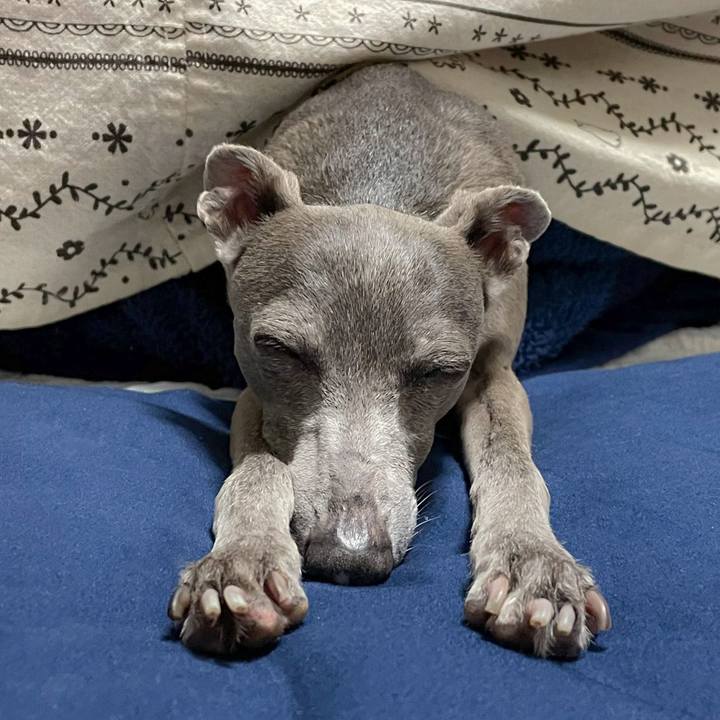 Da7cc24e 98a9 4dcd b9c4 fdc412c387c3 1760616980021