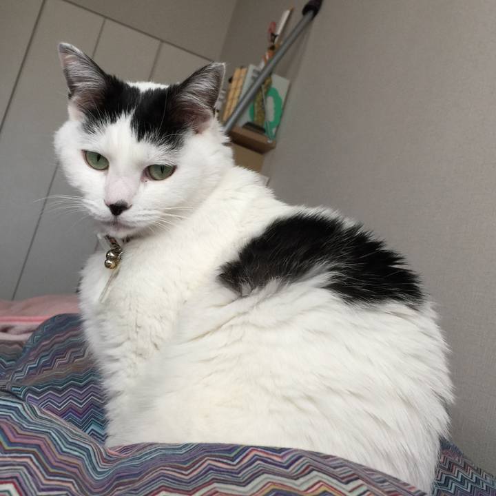 Da7cc329 f988 4e0f a99f 250c3c61135f 1510367897012