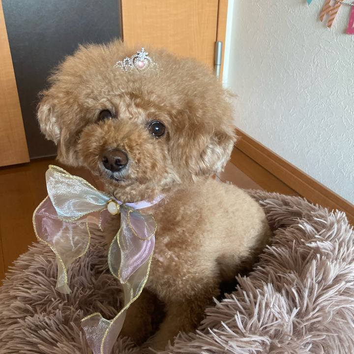 Da7ccb25 4bb4 45ba 8b66 22939b08e185 1675939457221