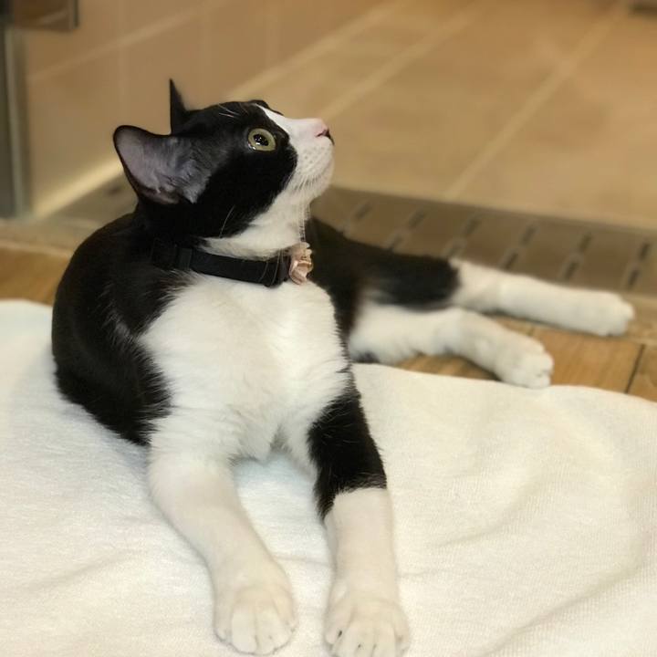 Da7cf538 cd48 4db5 99a9 1cd1723d7d3a 1520487451849