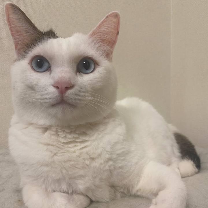 Da7d0e70 8dc6 48df bff7 aade4752365e 1727946335018