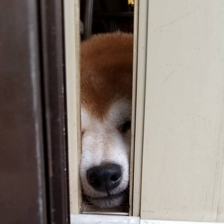 Da7d1e0f 688a 400e 8154 5a0031d08caa 1568777404481