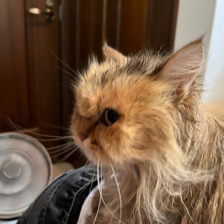 Da7d317b 0df5 4a2b bcdf aa173cb7b356 1657452900796