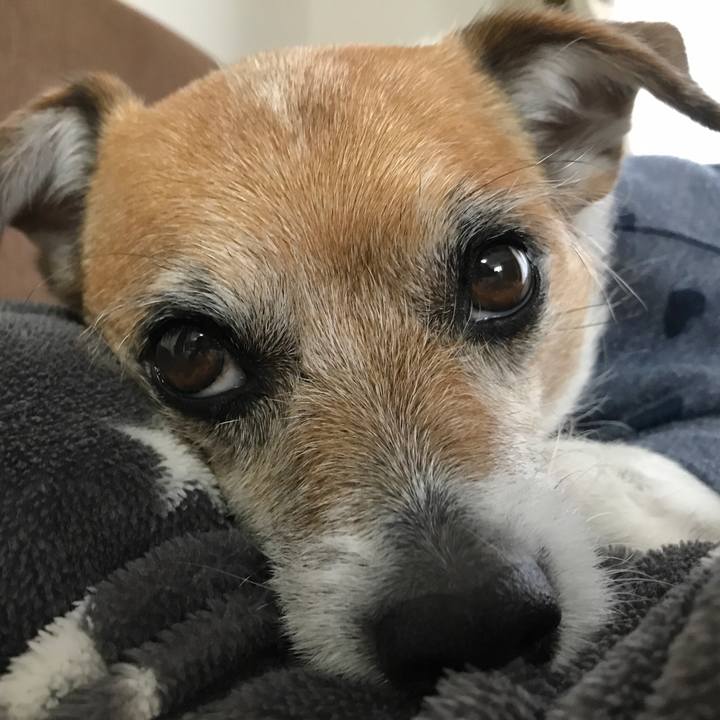 Da7d38ef 7f77 422c 8333 021f963e42f4 1583129774605