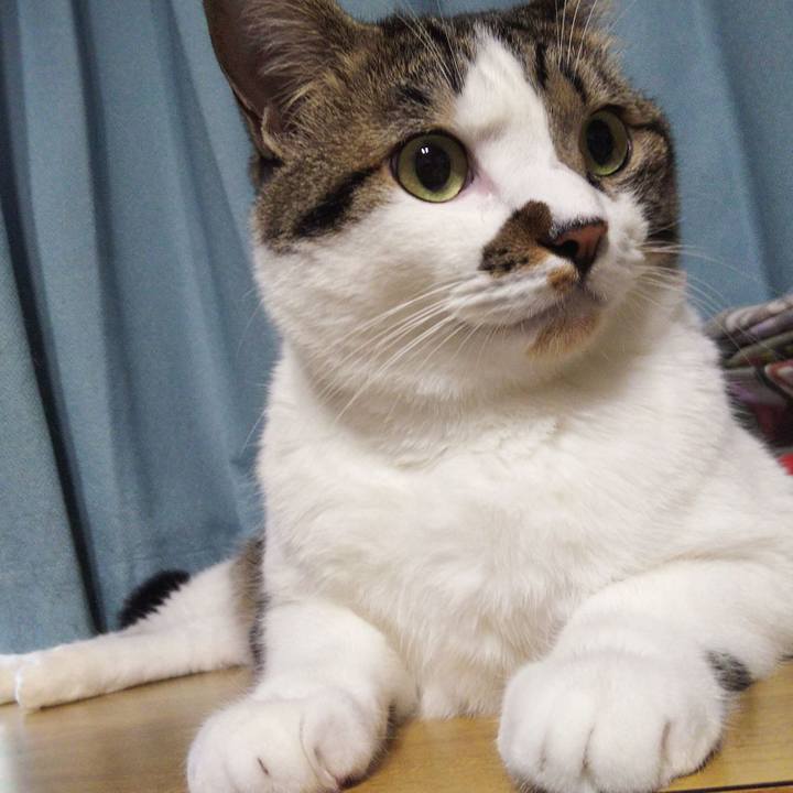 Da7d438c 717a 459f 9bbe 00a9691520e5 1662798673998