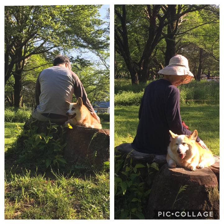 Da7d4ab8 fa0b 4679 8d48 2092b61d0d48 1571747688613