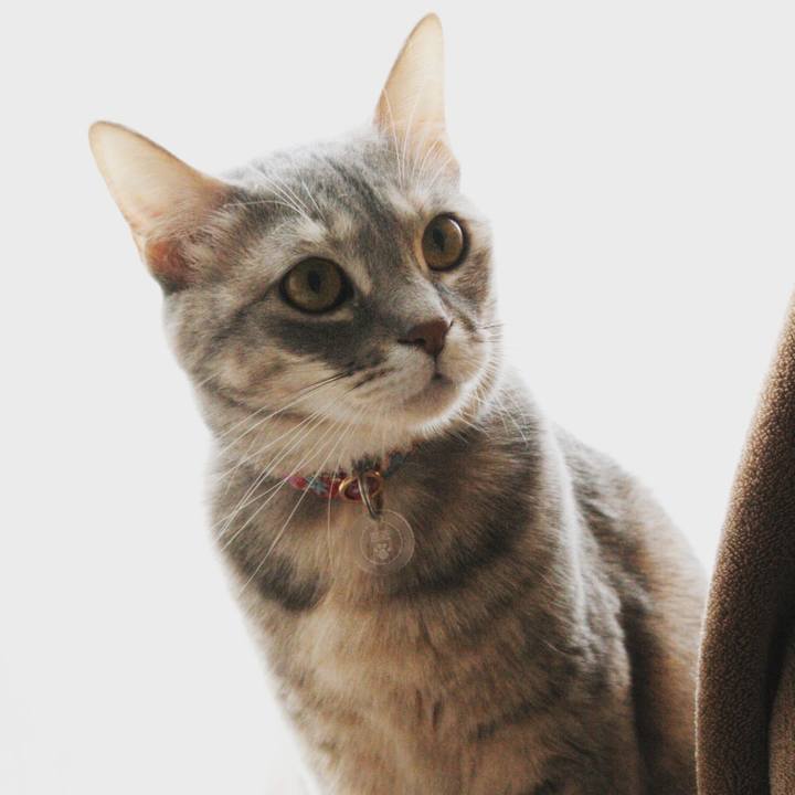 Da7d6993 ee67 443b a283 98353e1b2db5 1520818891868