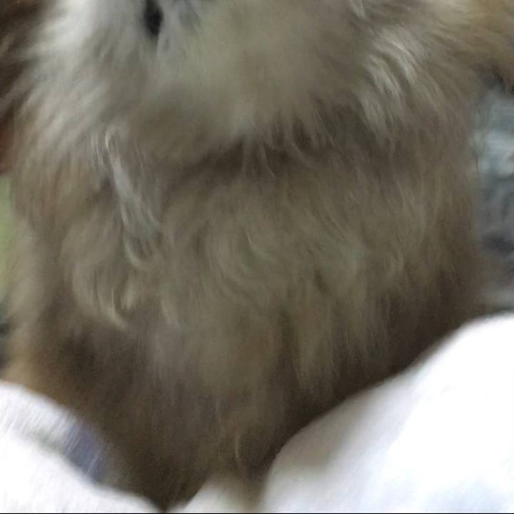 Da7d7e31 b4e1 4d62 aac5 6543265034a0 1606718598135