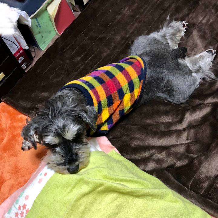 Da7d9467 6e30 47f6 9ee9 aad456752636 1648340659393