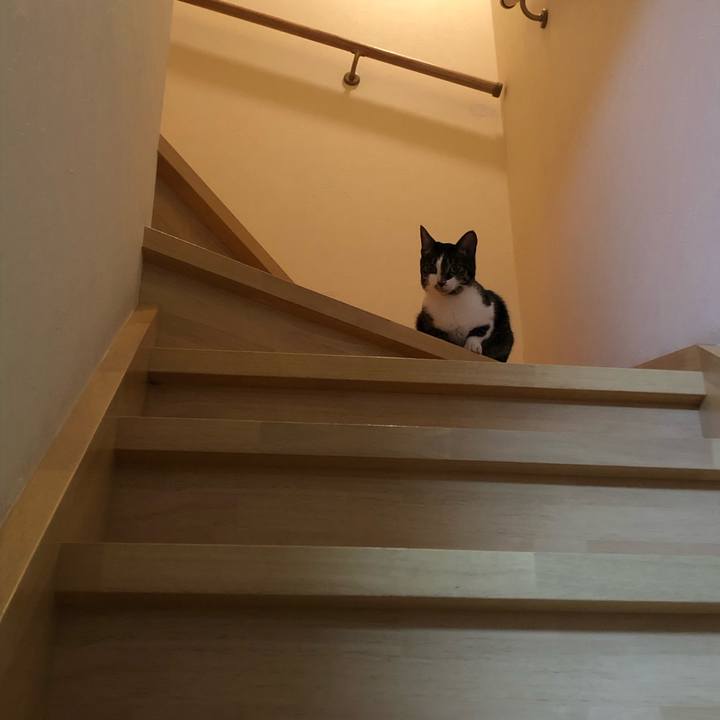 Da7d96de ddd0 4139 855c 55cf4017edd4 1562617647096