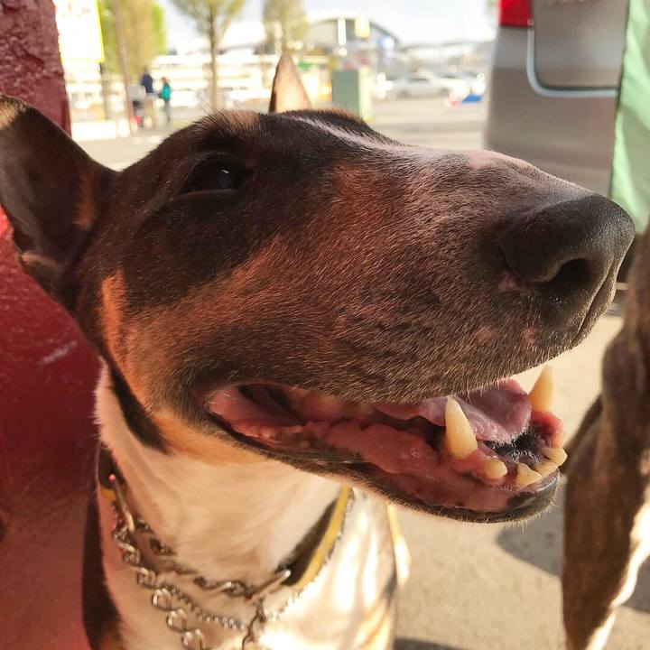 Da7da4c5 ee8f 4baa 842f e9f98824e2ea 1523184568086