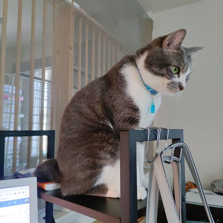 Da7daaf7 7fd4 45ed ad92 4a381f896601 1654160893515