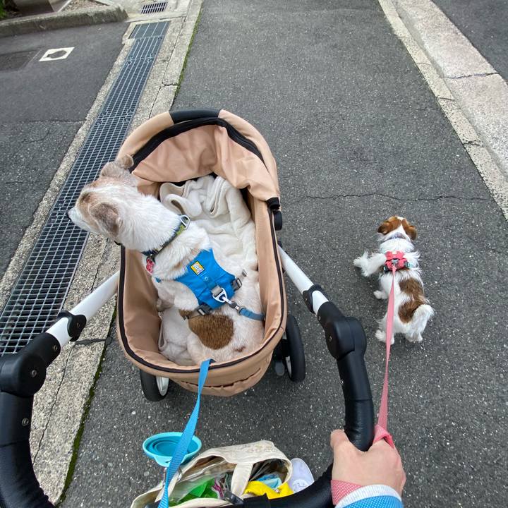 Da7dea4e 6e12 4afa a60d 16cfe80196be 1700711128017