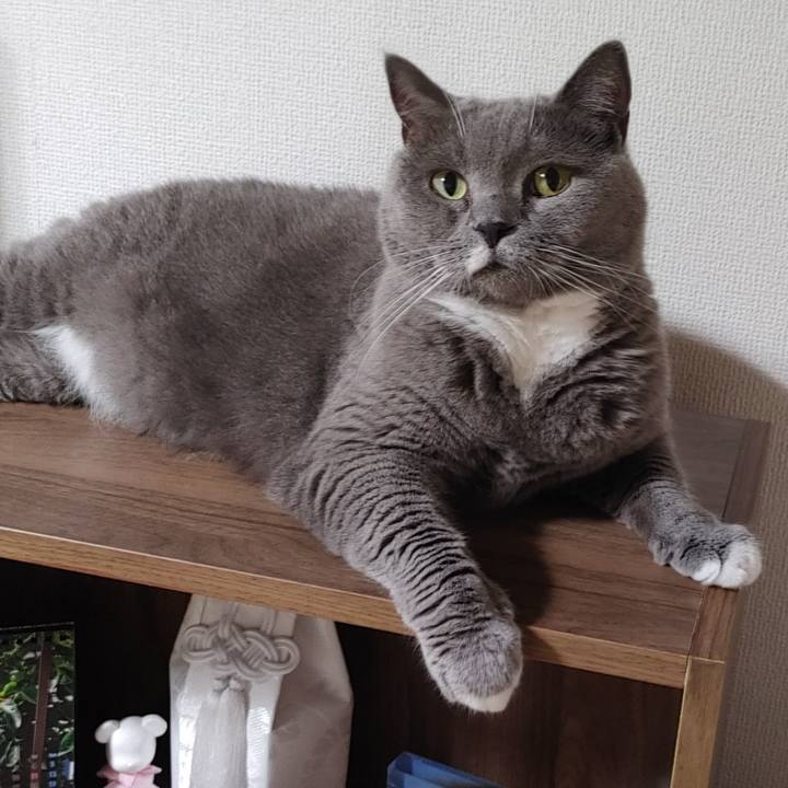 Da7e1d22 bb1e 471c bad4 9e3f70bce6ca 1692105013948